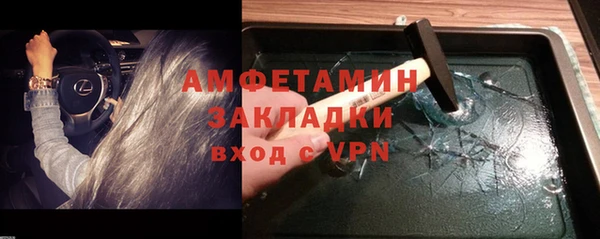 крисы Бородино