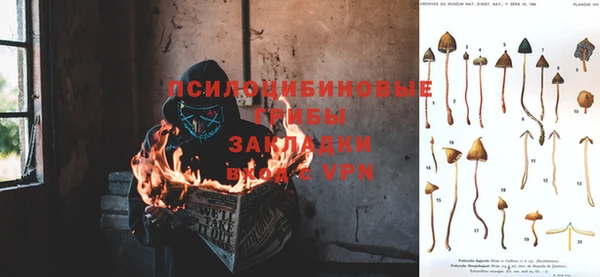 spice Бугульма