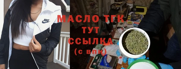 крисы Бородино