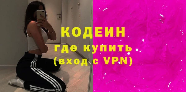 крисы Бородино