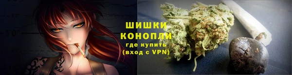 крисы Бородино