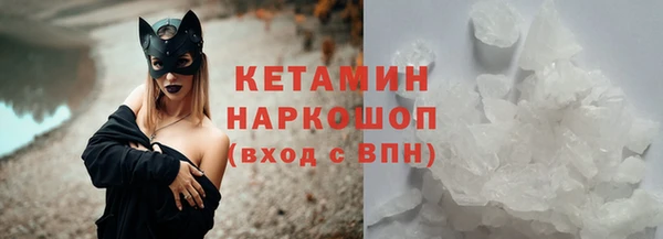 крисы Бородино