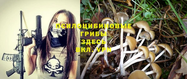 крисы Бородино