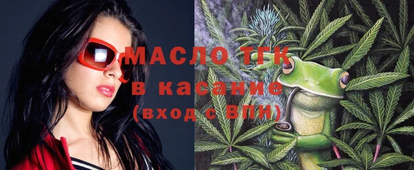 крисы Бородино