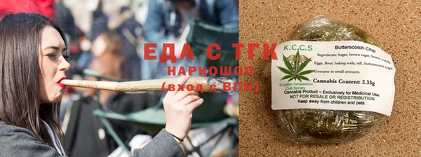 крисы Бородино