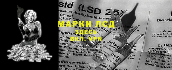 крисы Бородино