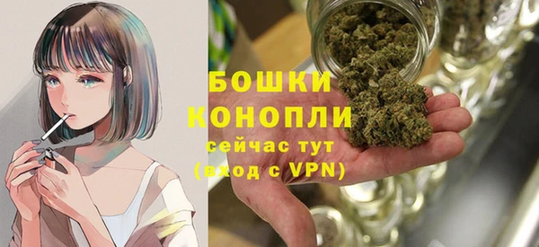 крисы Бородино
