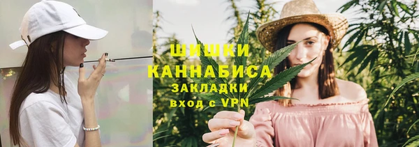 крисы Бородино