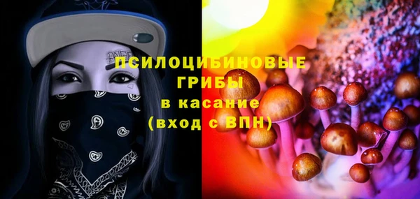 крисы Бородино