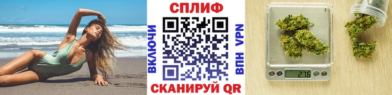Бошки марихуана сатива  Сосногорск 